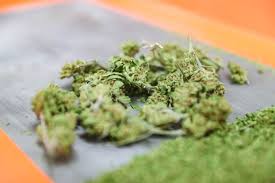 Marijuana weed
