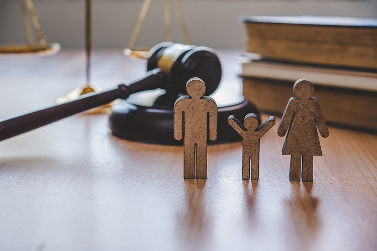 Family Law Lawyer 